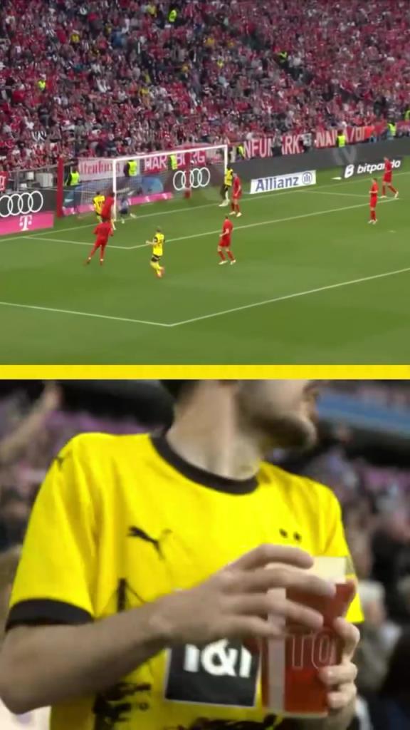 勇者無懼！這是真多特球迷！在拜仁球迷區(qū)一個(gè)人肆意慶祝！